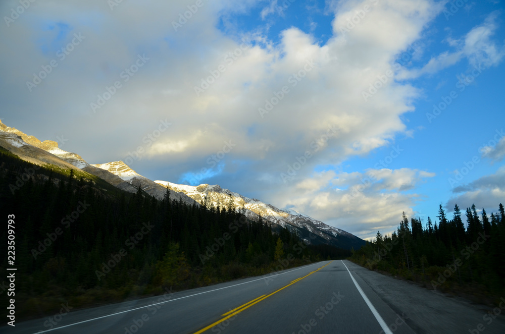 Fototapeta premium 秋のカナディアンロッキー 夕方のアイスフィールド・パークウェイ［黄葉なし、車なし］