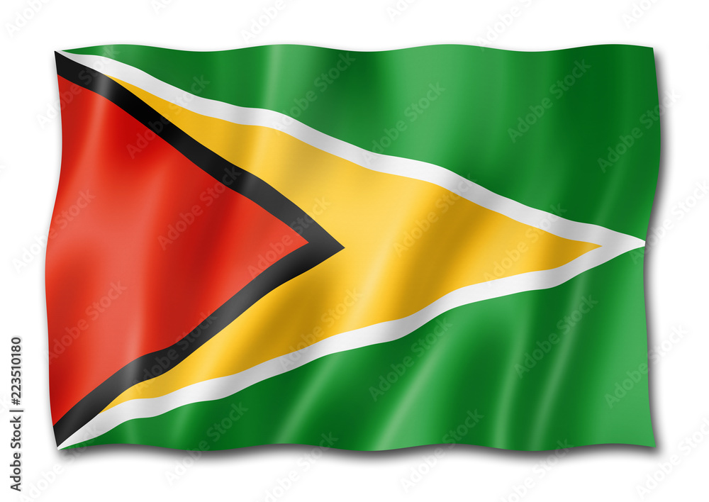 Guyanese flag isolated on white Guyanese flag isolated on white