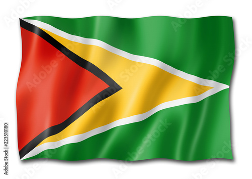 Free Download Guyanese flag isolated on white - GFXLoad