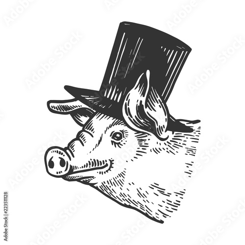 Obraz na plátně Pig animal in cylinder top hat engraving vector illustration