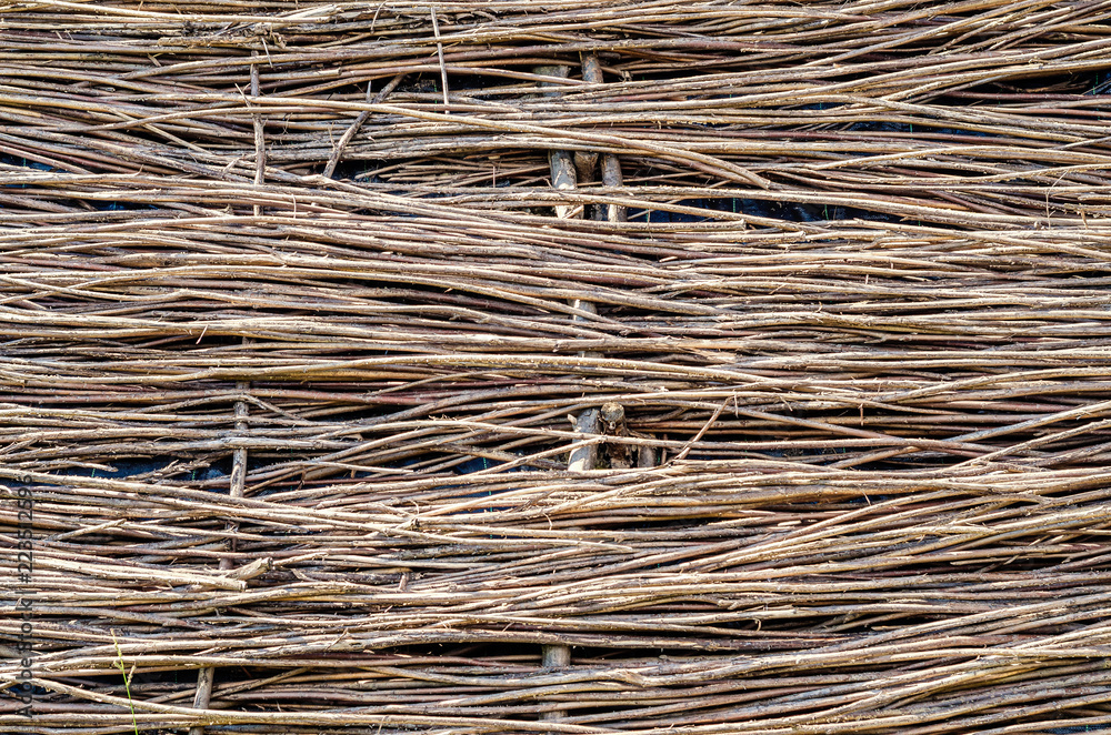 Large wicker hedge from thin branches. Natural background Large wicker hedge from thin branches. Natural background