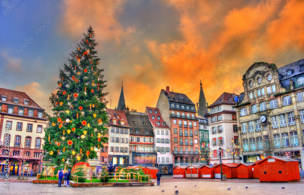 Fototapeta premium Christmas tree at the Christmas Market in Strasbourg, France