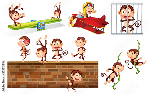 A set of playful monkey