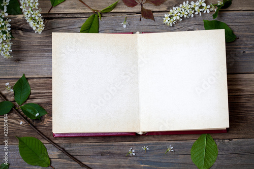 album with open pages and blossom bird-cherry
