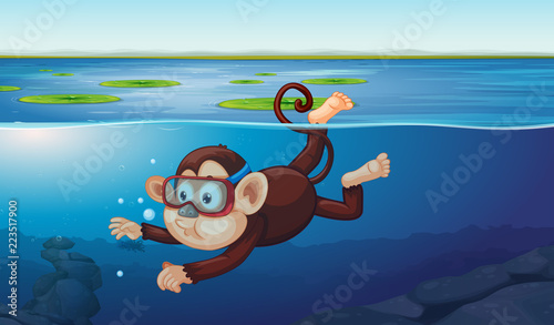 A monkey diving in the pond