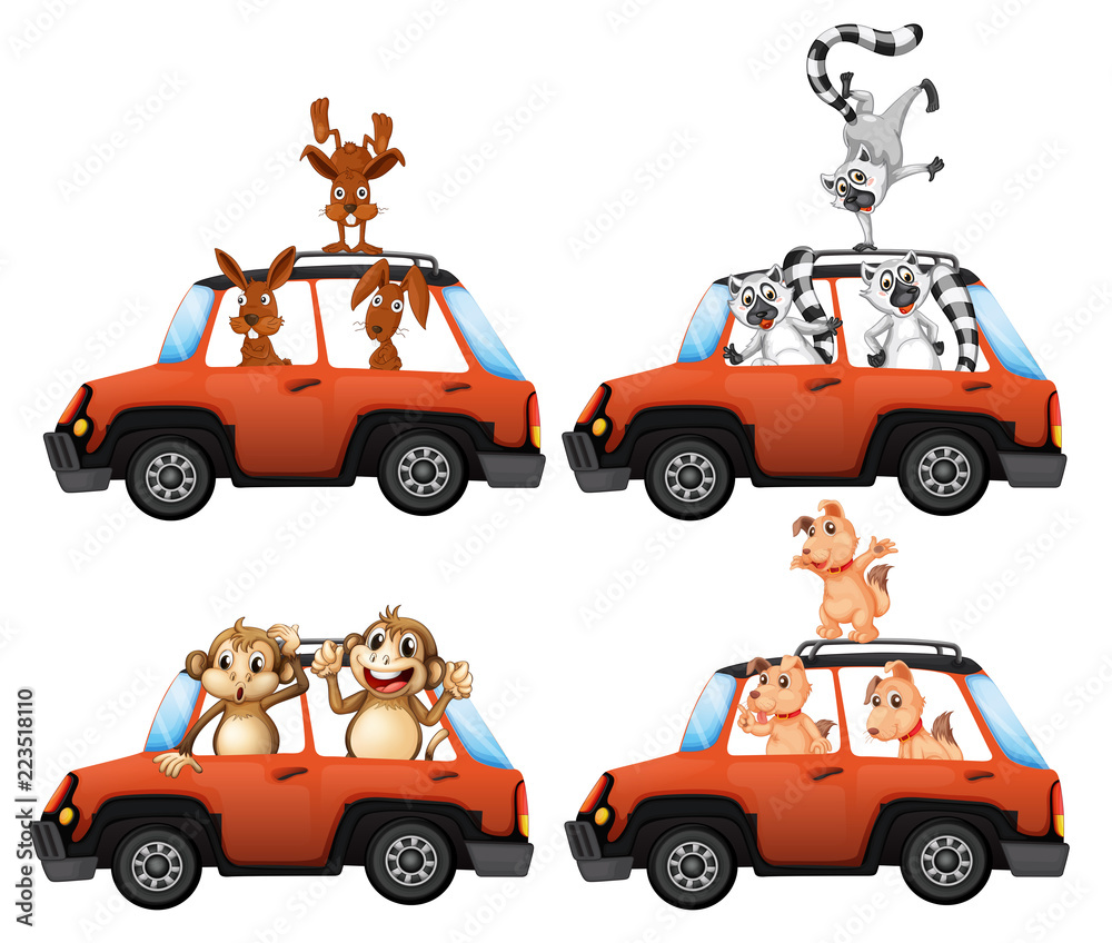 Fototapeta premium A set of animal on car