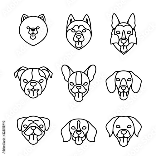 Dogs breeds linear icon set. Pomeranian spitz, Pug, Husky, Dachshund, Beagle, German Shepherd, Labrador, French, English bulldog. Isolated vector outline dog heads with tongues on white