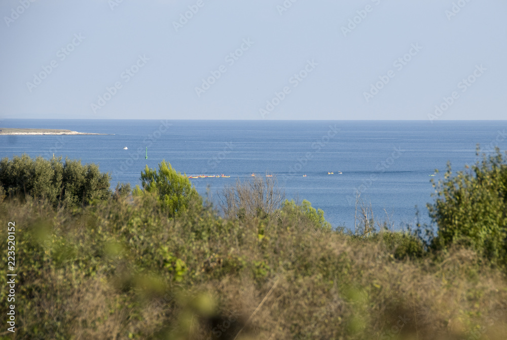 Meer, Horizont, Vegetation, Aussicht, blauer Himmel Meer, Horizont, Vegetation, Aussicht, blauer Himmel