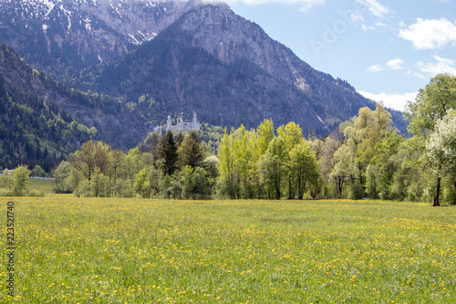 Neuschwanstein Castle  Germany