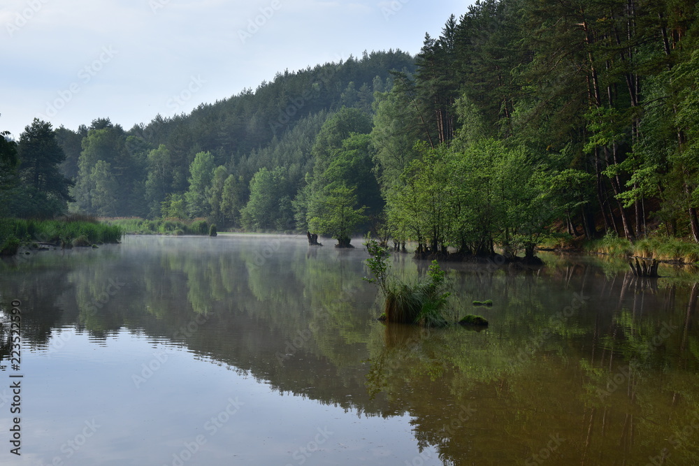 Kokorinsko pond on the stream Psovce Kokorinsko pond on the stream Psovce