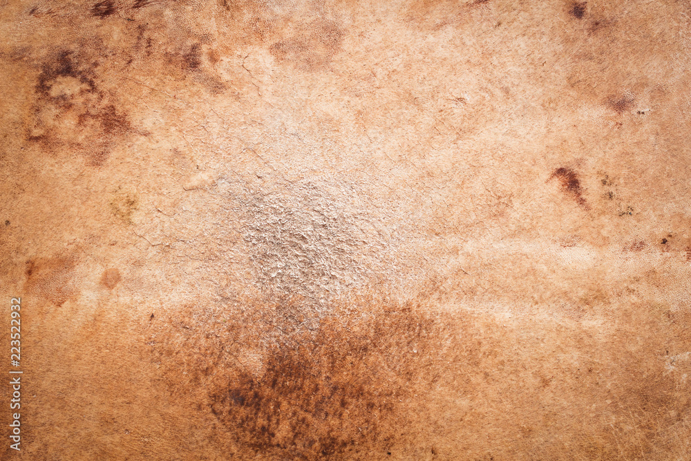 Fototapeta premium Ancient background concept: leather texture