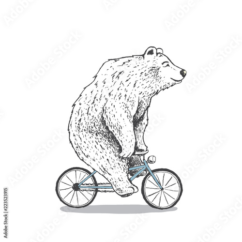 polar bear is riding a bicycle.Hand drawn style.Vector illustration