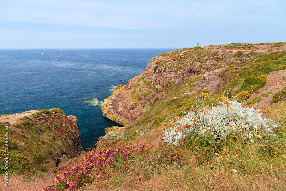 Beautiful landscape view of the cliffs at Cap Fréhel in Brittany, France, with the old lighthouse and moorland with vibrant heather flowers (Calluna vulgaris) and silver ragwort (Jacobaea maritima)
