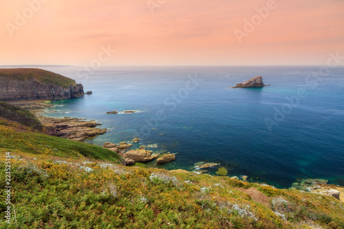 Beautiful sunset seascape view of the cliffs and blue ocean at Cap Fréhel in Brittany, France, with vibrant heather flowers 