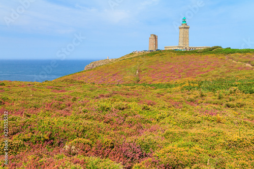 Beautiful landscape view of the cliffs at Cap Fr  hel in Brittany  France  with its lighthouses and moorland with vibrant heather flowers  Calluna vulgaris  and common gorse  Ulex europaeus 