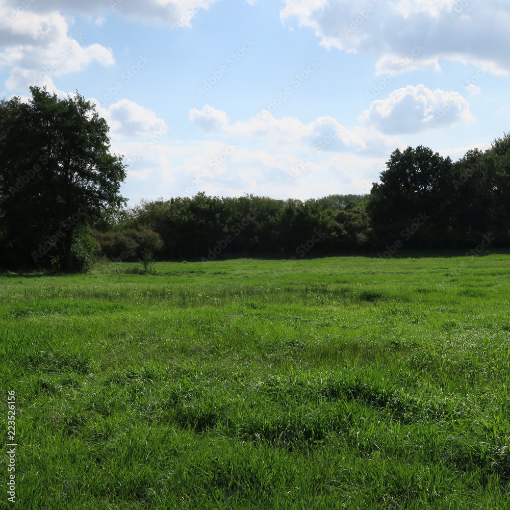 lonely landscape, of course, mecklenburg-western pomerania, loitz, demmin