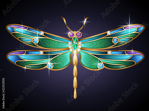 Beauty jewel dragonfly on blue background.