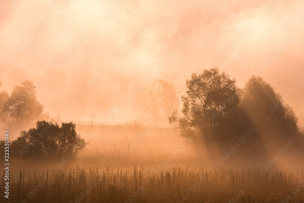 Magical autumn landscape with sun rays in the morning. Vintage landscapes. No effect filter.
