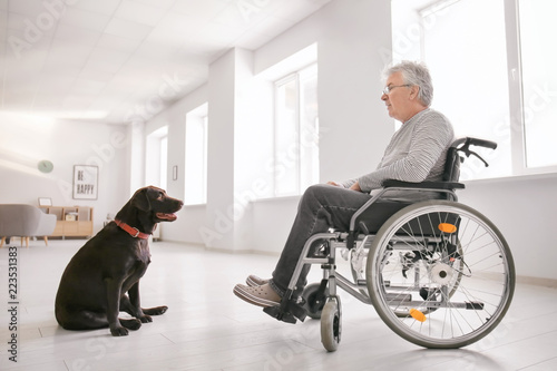 Senior man in wheelchair with his dog at home © Pixel-Shot