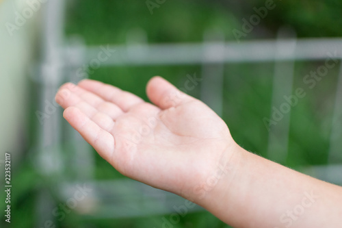 A child's hand catches a drop of water. © Konstiantyn Zapylaie