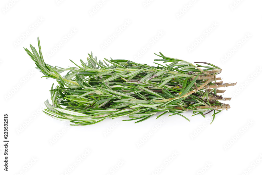 pile of fresh rosemary on white background pile of fresh rosemary on white background