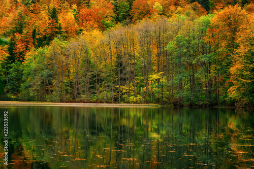 Autumn reflection of trees in lake