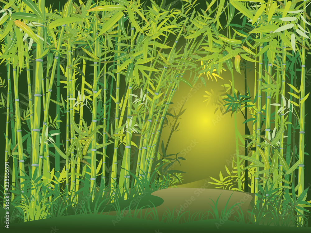 Naklejka premium Scena lasu bambusowego