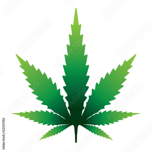 Marijauna Leaf Isolated Illustration