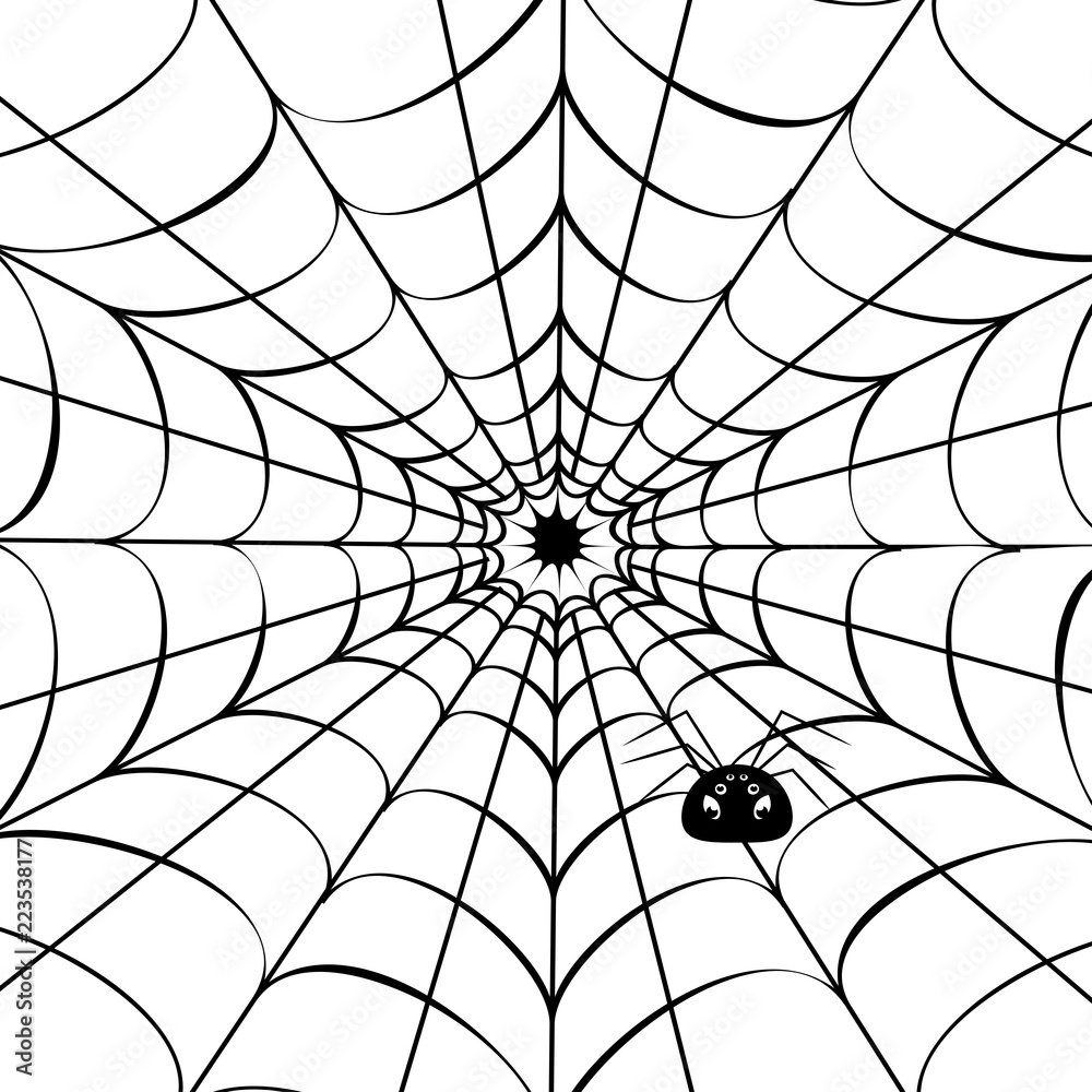 Obraz premium Spider web with cute spider