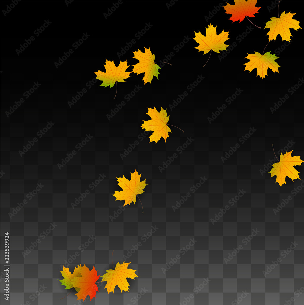 September Vector Background with Golden Falling Leaves. Autumn Illustration with Maple Red, Orange, Yellow Foliage. Isolated Leaf on Transparent Background. Bright Swirl. Suitable for Posters. September Vector Background with Golden Falling Leaves. Autumn Illustration with Maple Red, Orange, Yellow Foliage. Isolated Leaf on Transparent Background. Bright Swirl. Suitable for Posters.