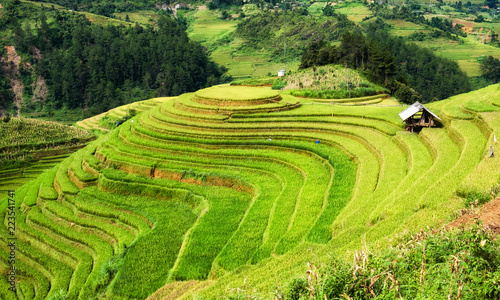 Viewpoint of rice field on terraced landmark of Mu Cang Chai