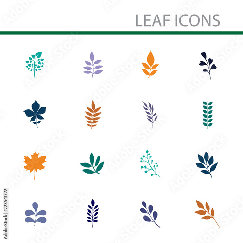 set of colorful leaves