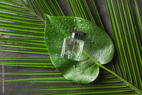 Bottle of perfume with tropical green leaves on dark table photo