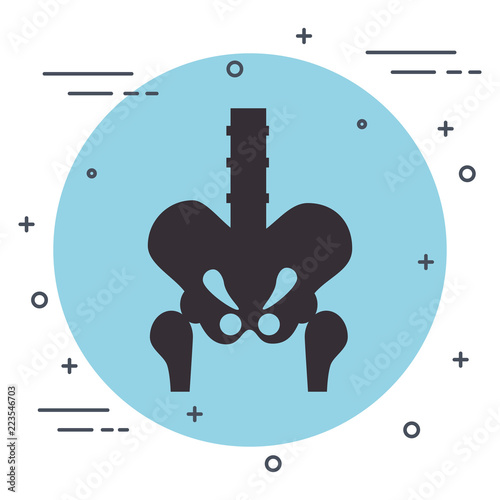 Bone structure of the hip