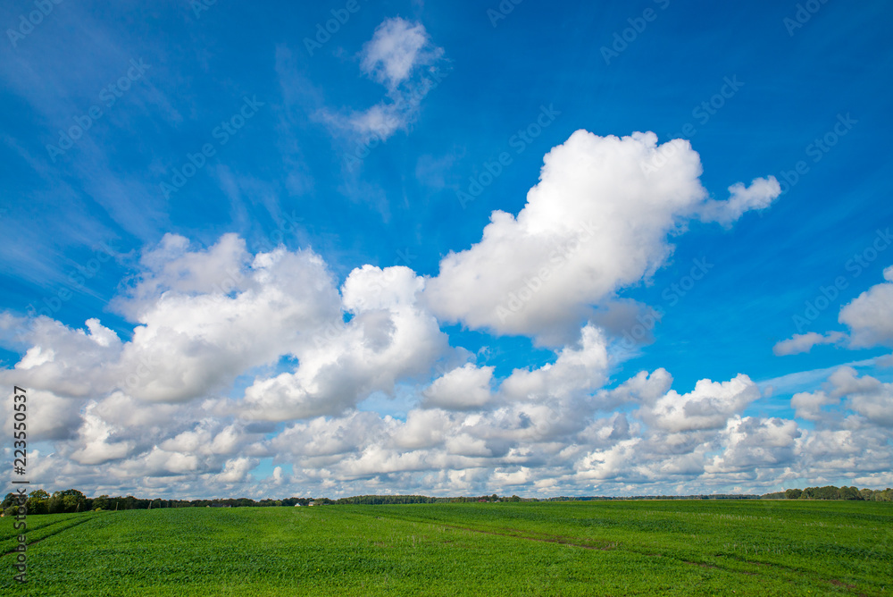 Green grass field and bright blue sky. Latvia Green grass field and bright blue sky. Latvia