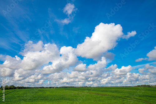 Green grass field and bright blue sky. Latvia