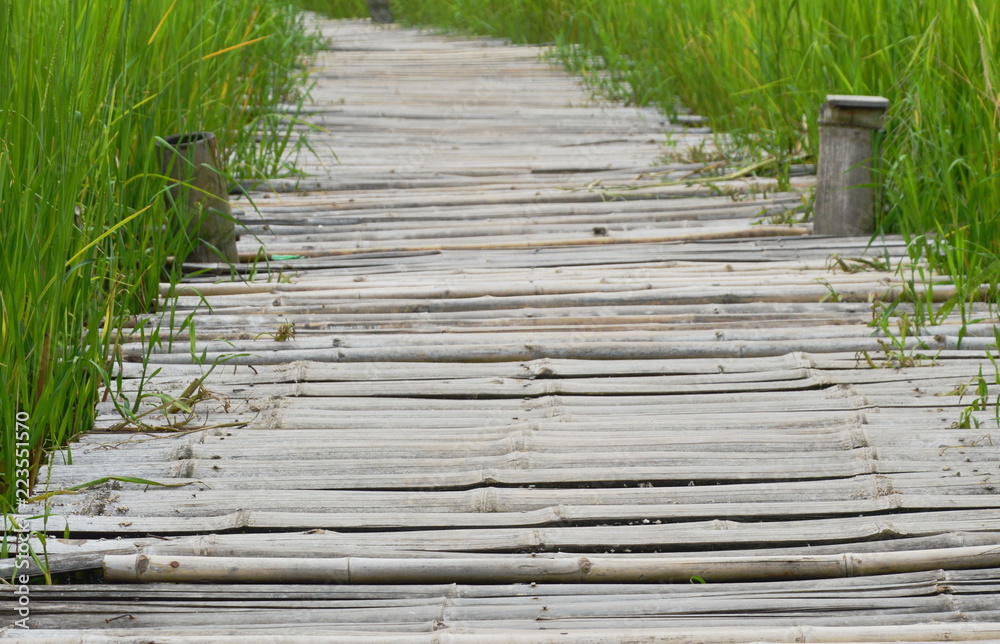 bamboo bridge on paddy field in Thailand countryside bamboo bridge on paddy field in Thailand countryside