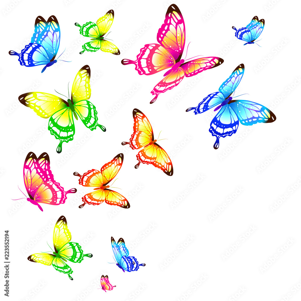 beautiful color butterflies,set, isolated  on a white