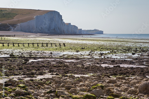 Seaford Head Naturue reserve, East Sussex, England. View of the chalk cliffs, part of Seven Sisters National park in the morning low tide, view of Beachy head, selective focus photo