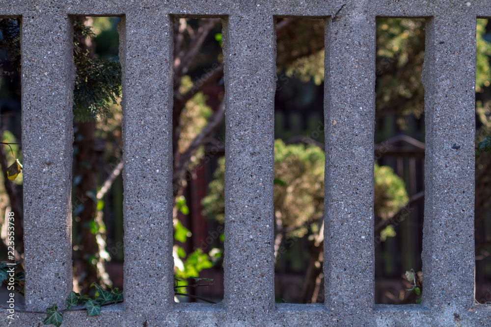 concrete grid, green plants in blur. concrete grid, green plants in blur.