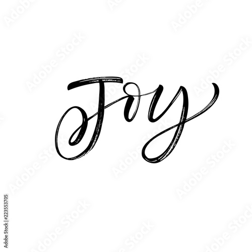 Joy phrase. Hand drawn brush style modern calligraphy. Vector illustration of handwritten lettering. 