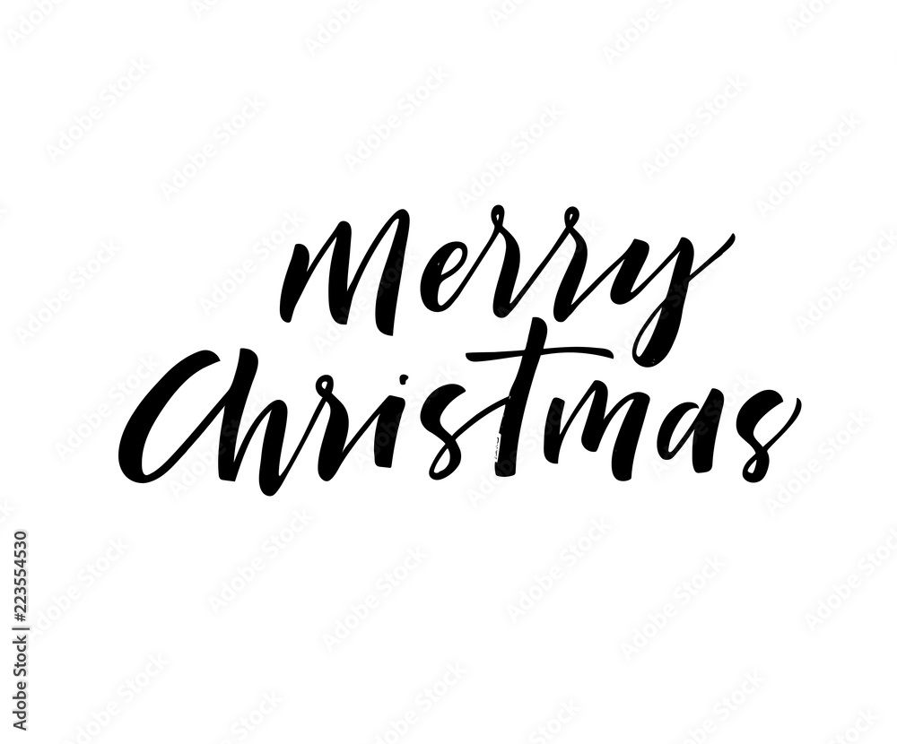 Obraz premium Merry Christmas phrase. Hand drawn brush style modern calligraphy. Vector illustration of handwritten lettering. 