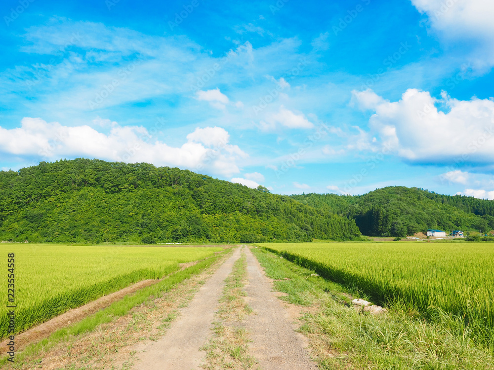 田園