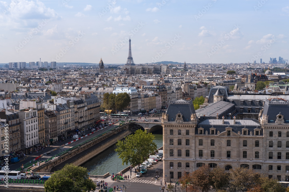 View to Paris and Eiffel Tower from Notre Dame de Paris