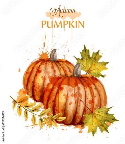 Pumpkin watercolor autumn background Vector. Fall season painted style illust...