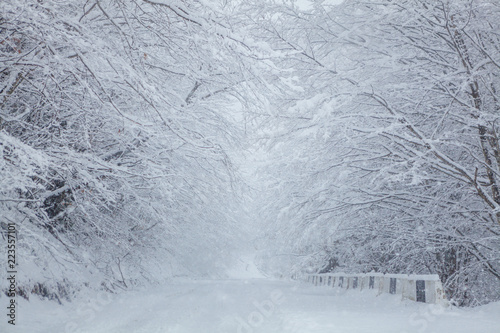 Valokuva snow-covered road going into the distance