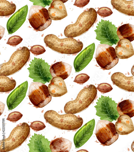 Hazelnuts pattern Vector watercolor. Painted style texture illustrations