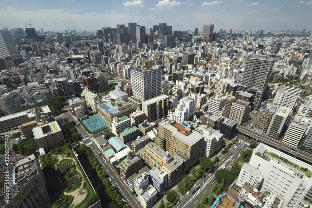 Fototapeta premium 東京(聖路加タワーから)
