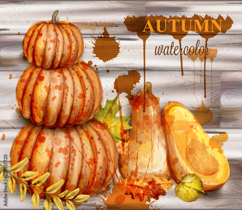 Pumpkin watercolor autumn poster Vector. Fall season painted style illustrations