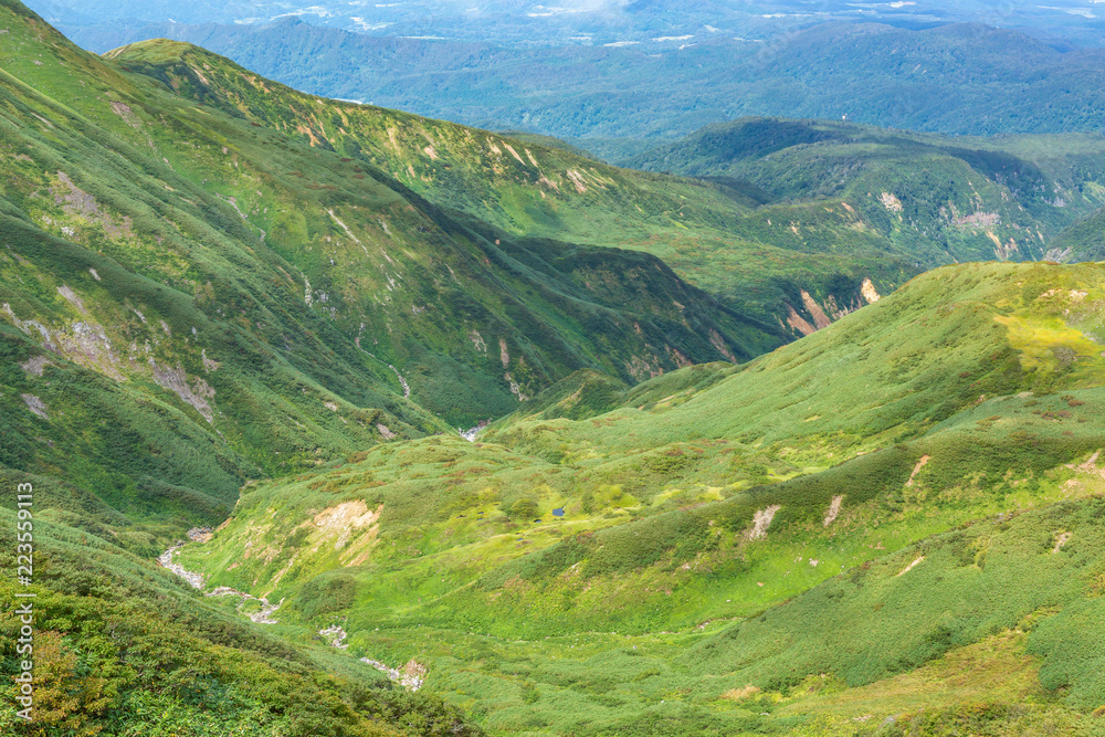 Fototapeta premium 新緑の山